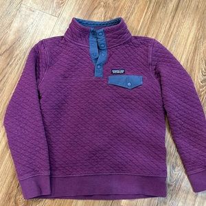 Purple Patagonia Snap T Pullover